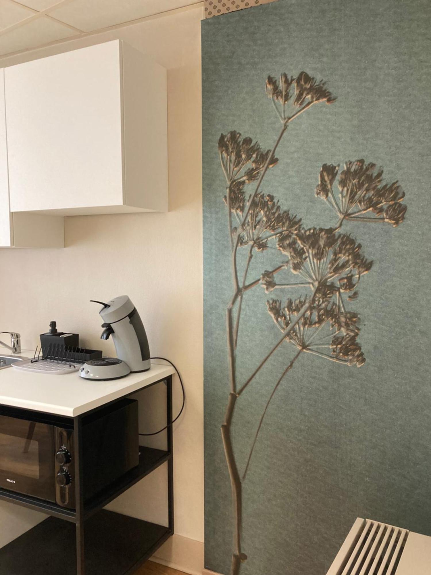 Gite D'Avalon Appartement 5 디넝 외부 사진